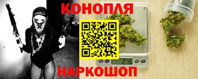 шишки Шахты