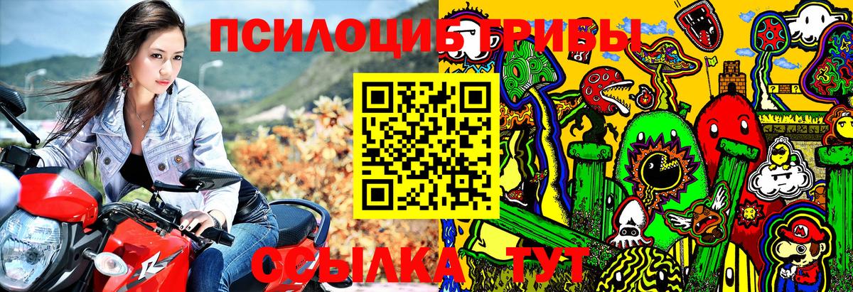 Галлюциногенные грибы Magic Shrooms  Галлюциногенные грибы мицелий  Донецк  Вход с VPN 